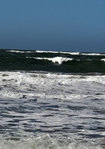 Bild Sylt