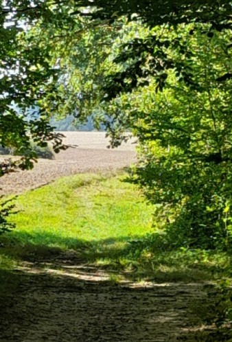 Bild Sensenstein